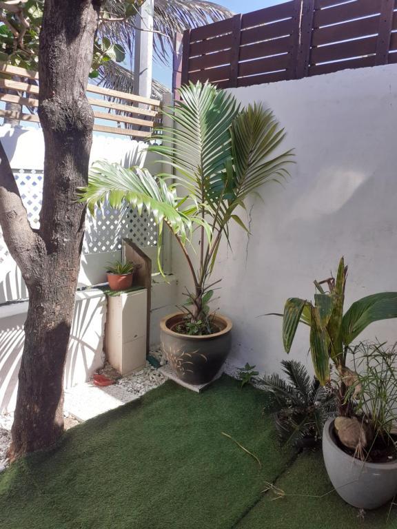 Les Badamiers Villa Saint Pierre Exterior photo
