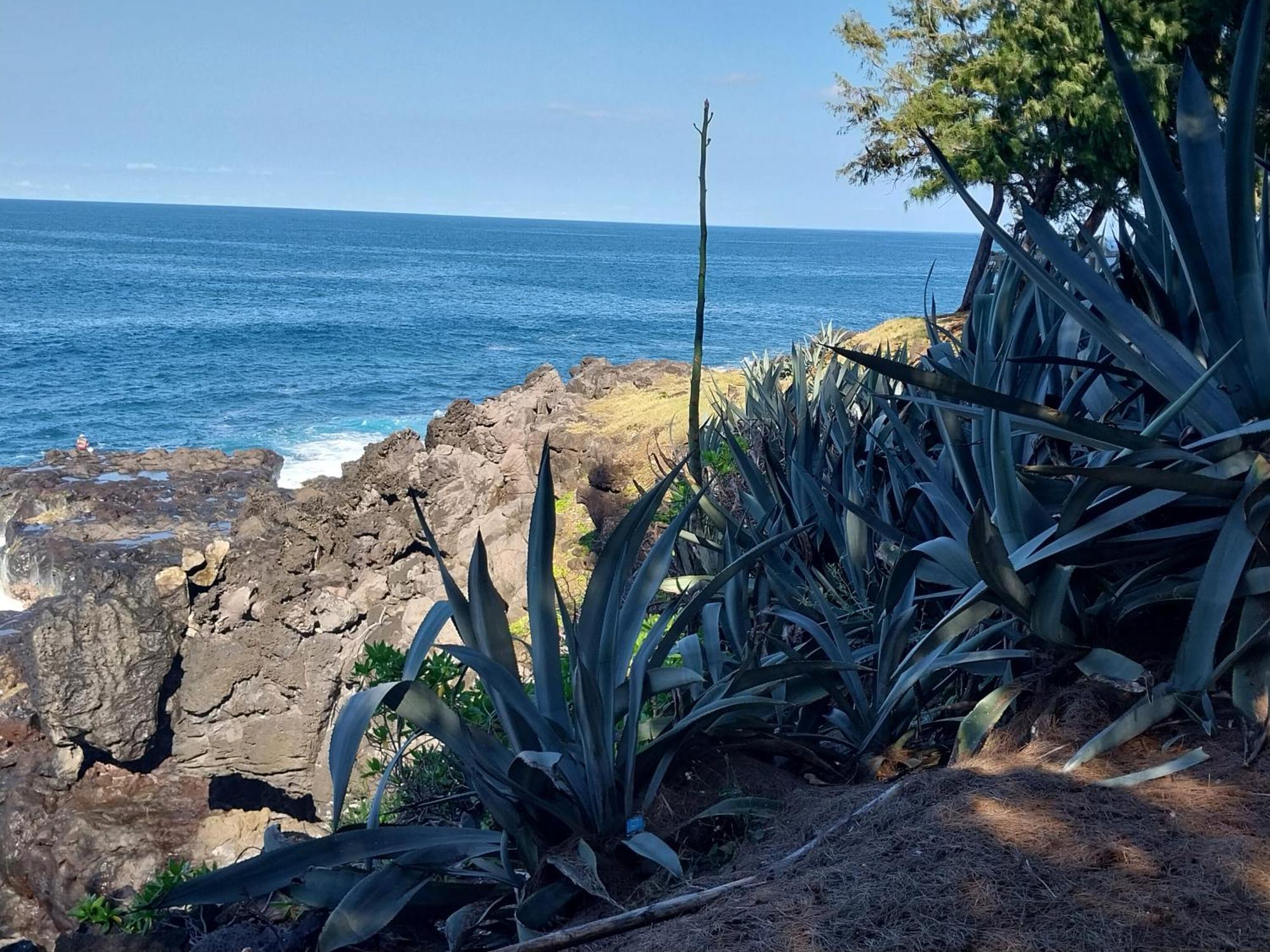 Les Badamiers Villa Saint Pierre Exterior photo